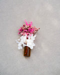 Petite Bloom Rosa